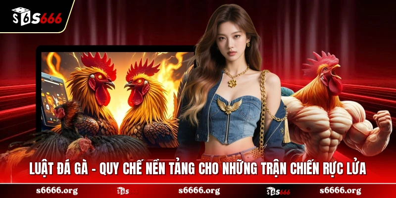 Luật Đá Gà